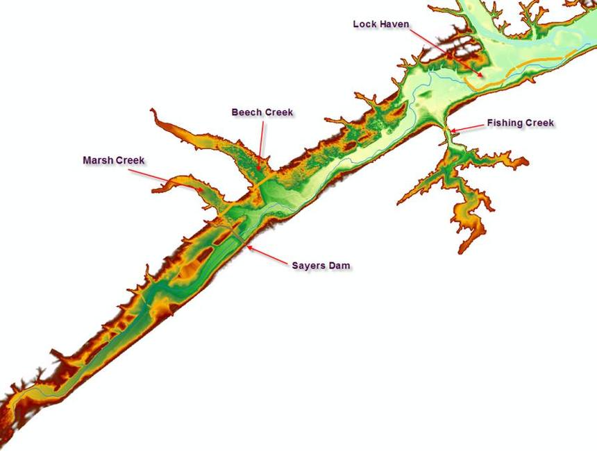 研究区：Bald Eagle Creek 及支流